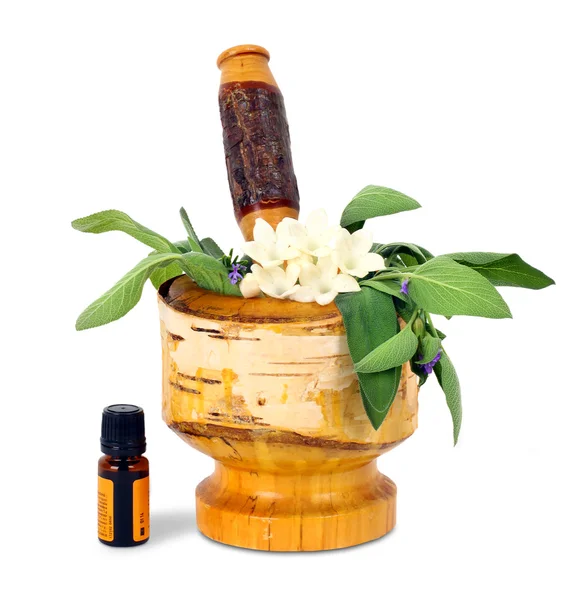 Healing herbs with mortar and pestle — Stock Photo, Image