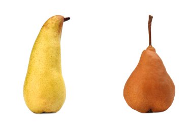 güzel olgun sarı ve kahverengi armut