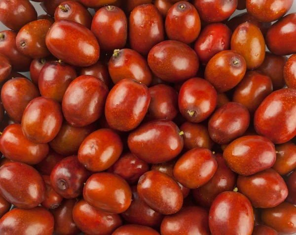 Жуджубские ягоды — стоковое фото