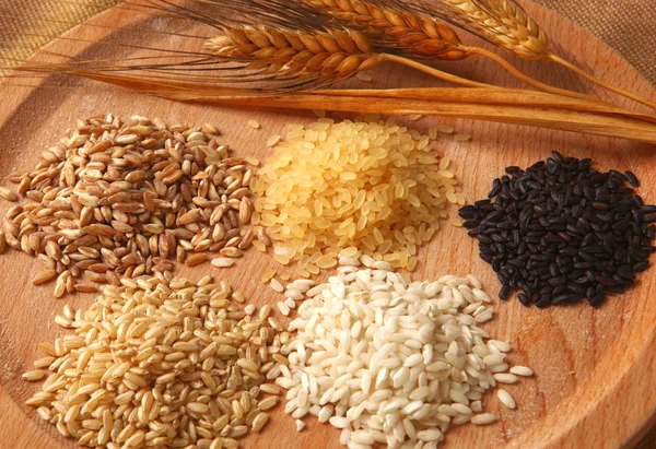 Пять типов риса — стоковое фото