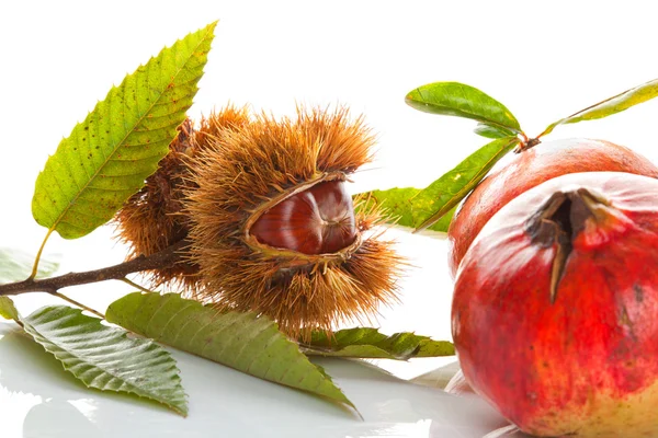 Chestnuts with pomegranate — Stock Photo, Image