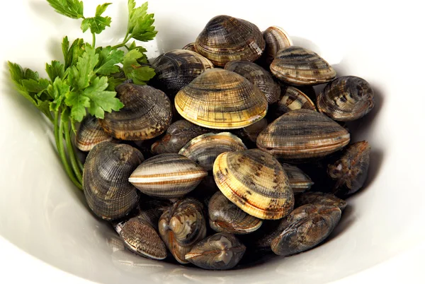Vit skål med musslor med persilja — Stockfoto