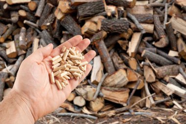 Wood pellets in hand clipart