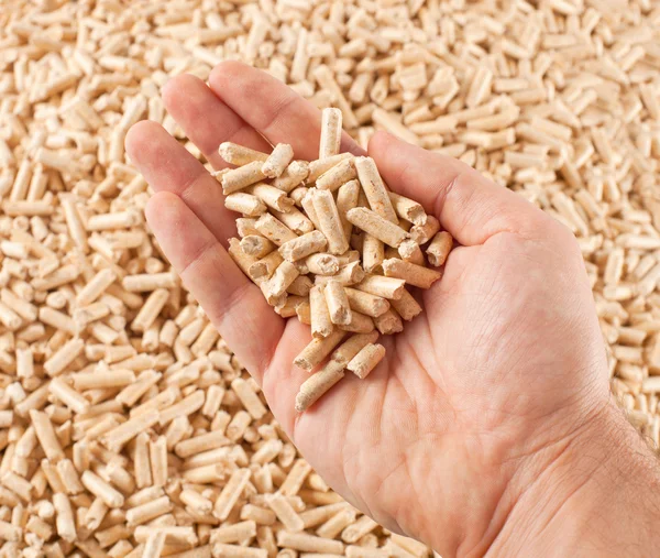Wood pellets in hand — Stock Photo, Image