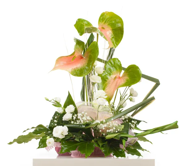 Mandje van anthurium essencia — Stockfoto