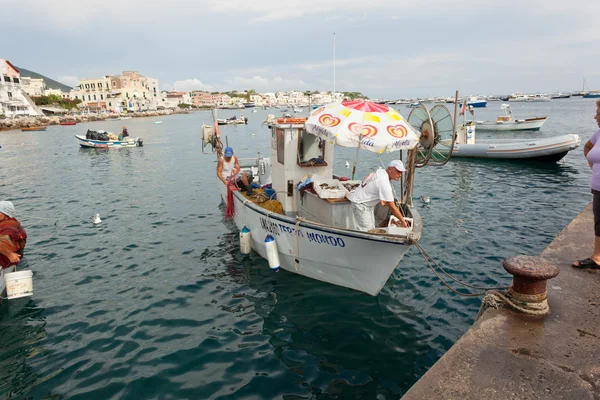 ISCHIA, ITALY - AUGUST 20: Direct sale of the catch to the traders of the place. — Stock Photo, Image