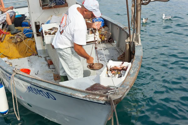 Ischia, Włochy - 20 sierpnia: sprzedaż bezpośrednia połowu przedsiębiorców miejsca. — Zdjęcie stockowe