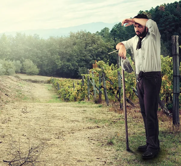 Agricultor na vinha — Fotografia de Stock