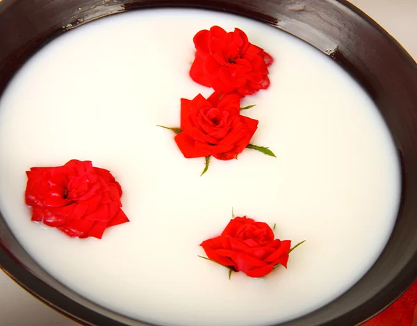 Kleine rote Rosen in der Milch in einer Schüssel — Stockfoto