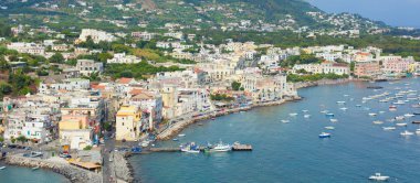 View of Ischia Ponte clipart