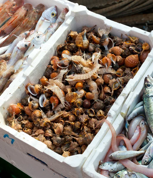 Свежая рыба на продажу в гавани — стоковое фото