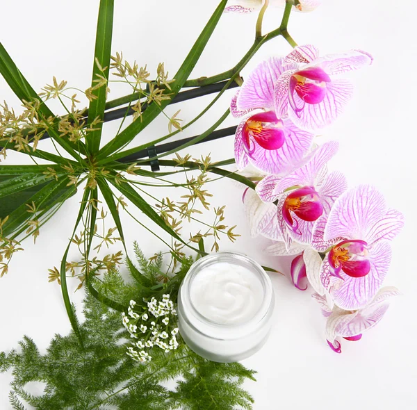 Face cream with herbs and pink orchids — Stock Photo, Image