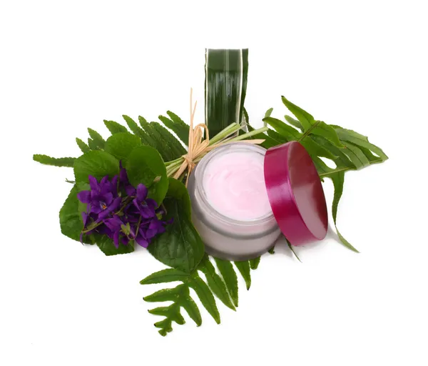 Cosmetic pink cream with herbs and flowers — Stock Photo, Image