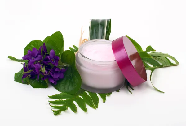 Cosmetic pink cream with herbs and flowers — Stock Photo, Image