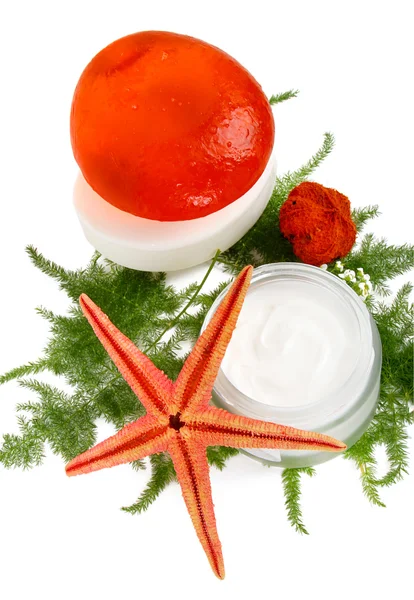 Face cream with starfish — Stock Photo, Image