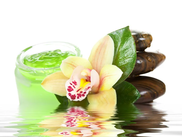 Green cream with orchid and stones — Stock Photo, Image