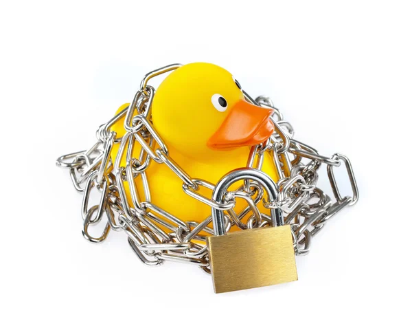 Yellow Rubber Duck with chain and padlock — Stock Photo, Image