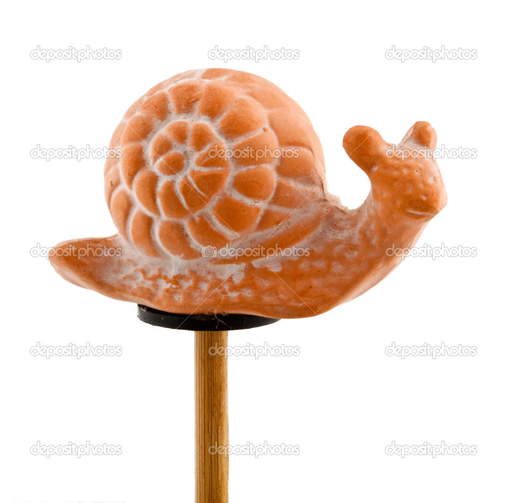 Snail in clay on wooden stick