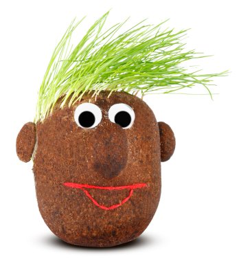 kukla ile ground buğday filizi saçlar için.