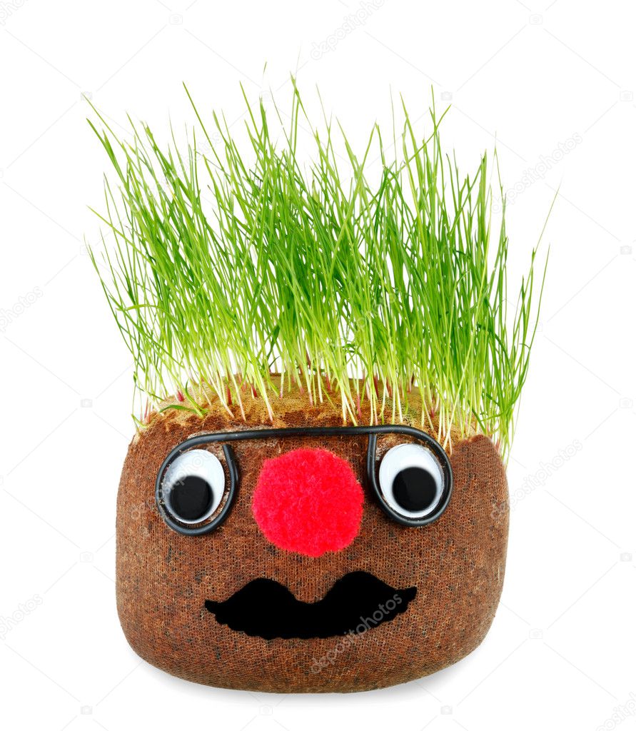 Puppet with ground wheat sprouts for hair.