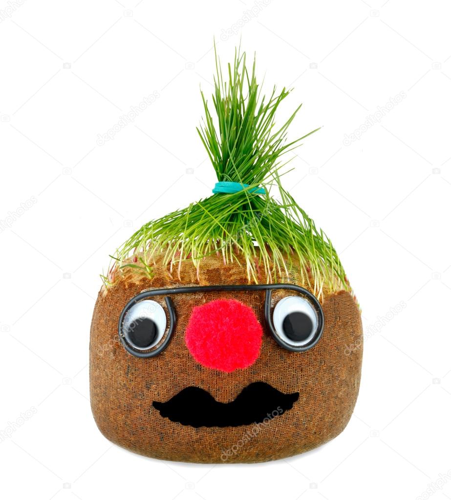 Puppet with ground wheat sprouts for hair.