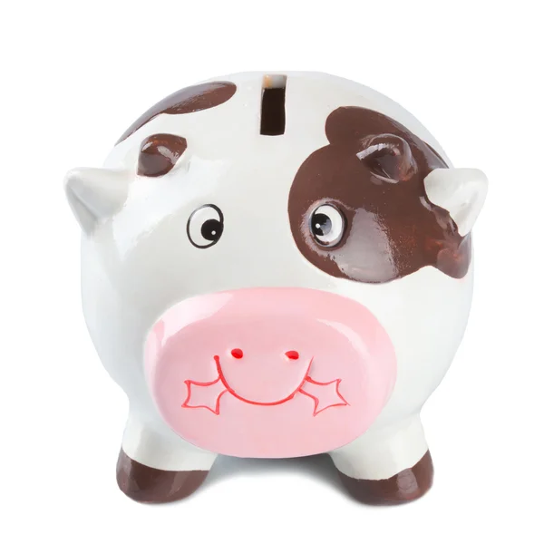 Caja de moneda de vaca —  Fotos de Stock