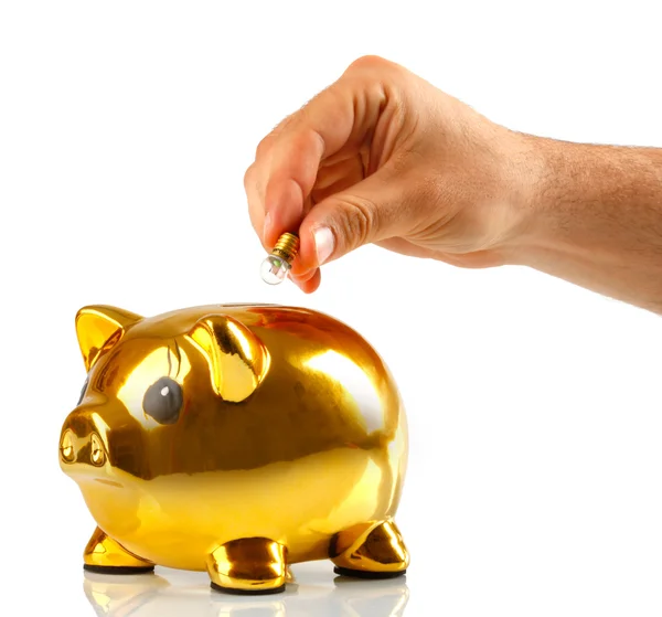 Golden piggy bank with small light bulbs Royalty Free Stock Images