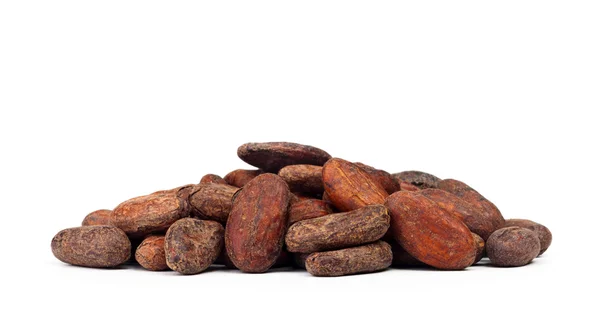 Granos de cacao — Foto de Stock