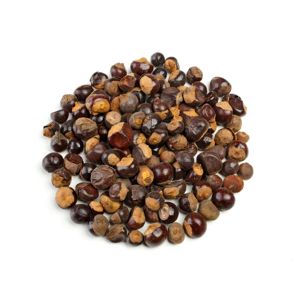 Guarana seeds Royalty Free Stock Photos