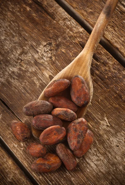 Kakaové boby — Stock fotografie