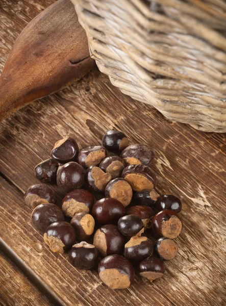 Semillas de guaraná — Foto de Stock