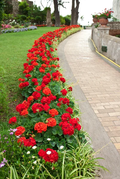 Bellissimo Giardino Pubblico Giardino Augusto Capri Italia — Foto Stock