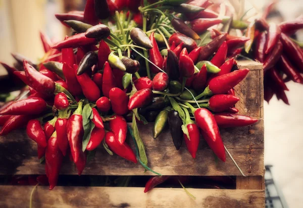 Mazzo di peperoncino rosso piccante al mercato — Foto Stock