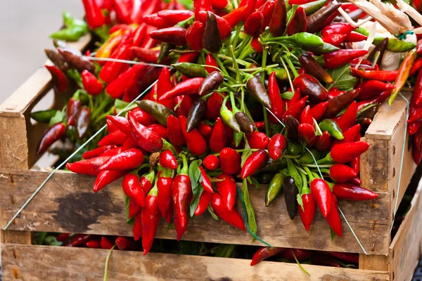 Massa red hot chili peppar på marknaden — Stockfoto