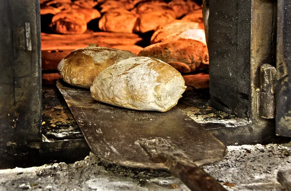 Bröd nygjorda i ugn Stockbild