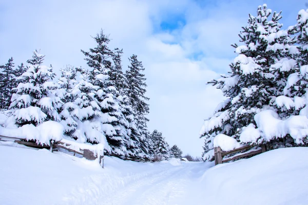 Snowy road — Stock Photo, Image