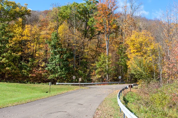Estrada asfaltada que conduz à floresta do Outono — Fotografia de Stock