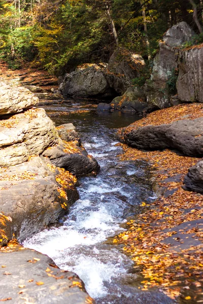 Ruisseau se précipitant dans la forêt — Photo