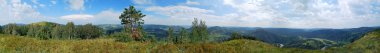 Panorama