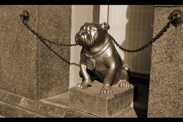 Bronz köpek