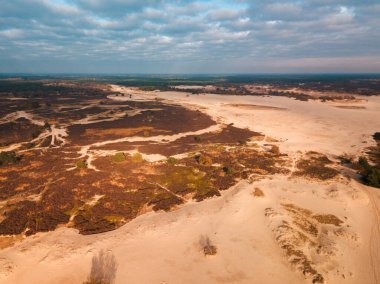 Hollanda, Avrupa 'daki Loonse en Drunense Kumullarının insansız hava aracı görüntüsü.