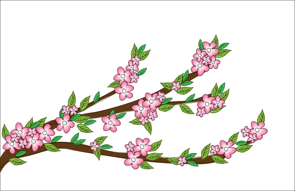 Scarabocchi di fiori primaverili — Vettoriale Stock