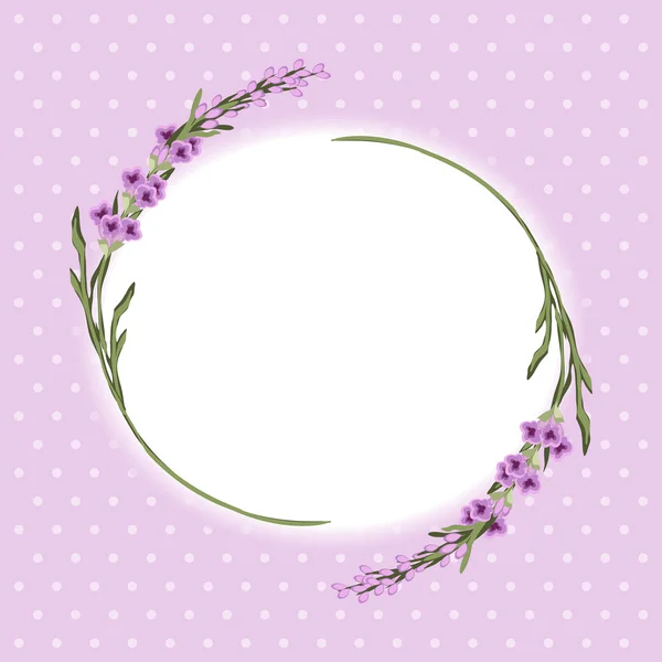 Lavender frame 2 — Stock Vector