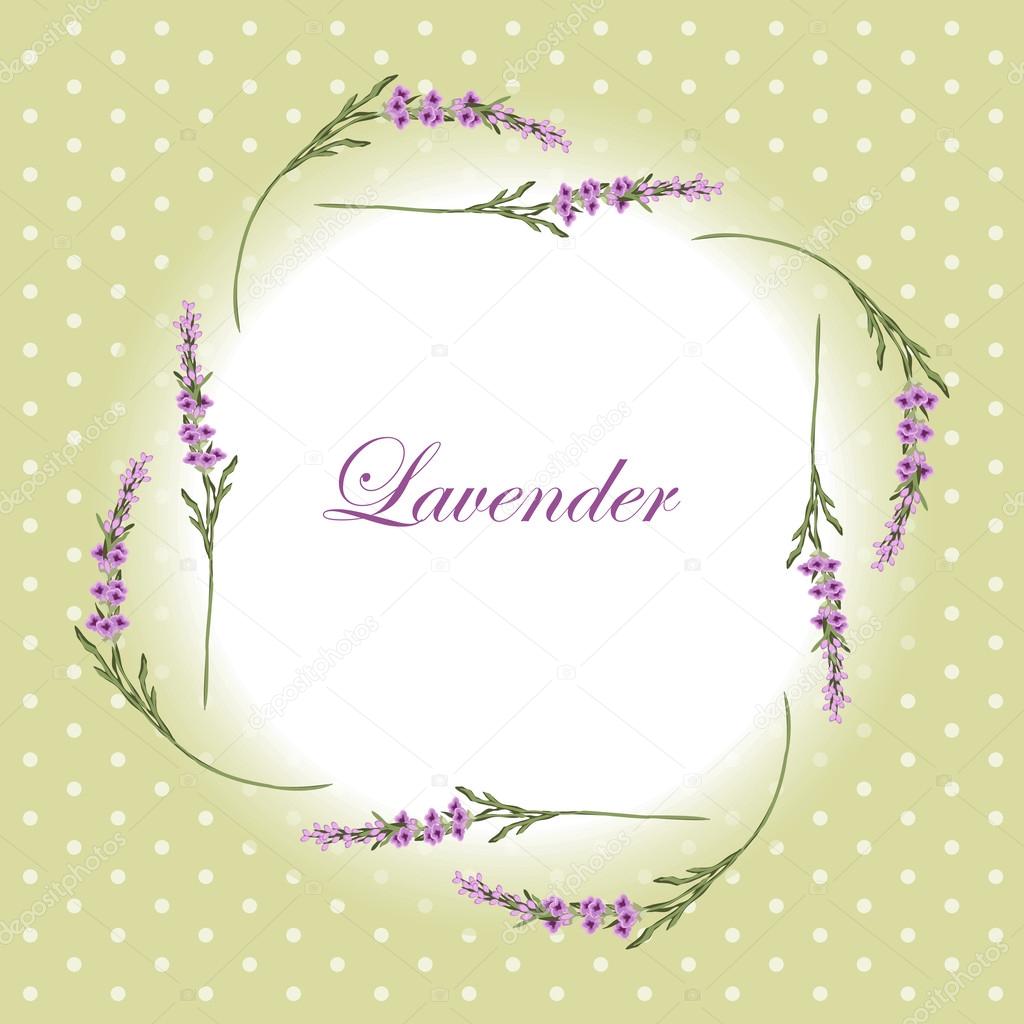 Lavender frame 4
