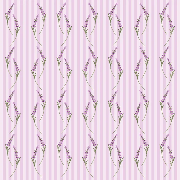 Pattern with lavender — Stock Vector