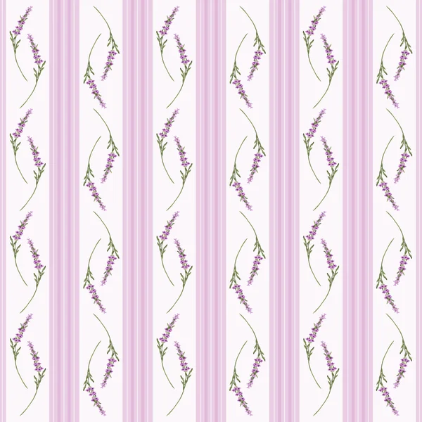 Pattern with lavender — Stock Vector