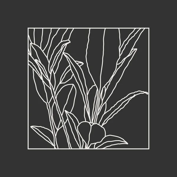 Composições botânicas minimalistas da arte da linha com colagem abstrata das folhas — Vetor de Stock