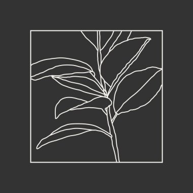Yapraklar soyut kolaj ile minimalist botanik çizgisi