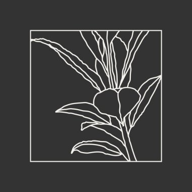 Yapraklar soyut kolaj ile minimalist botanik çizgisi