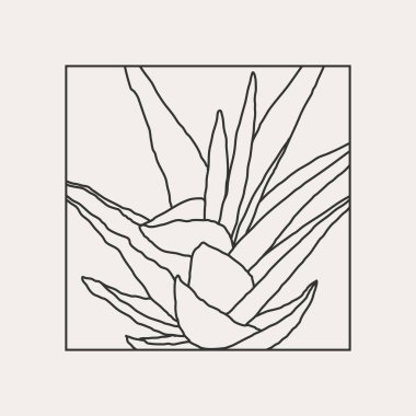 Yapraklar soyut kolaj ile minimalist botanik çizgisi